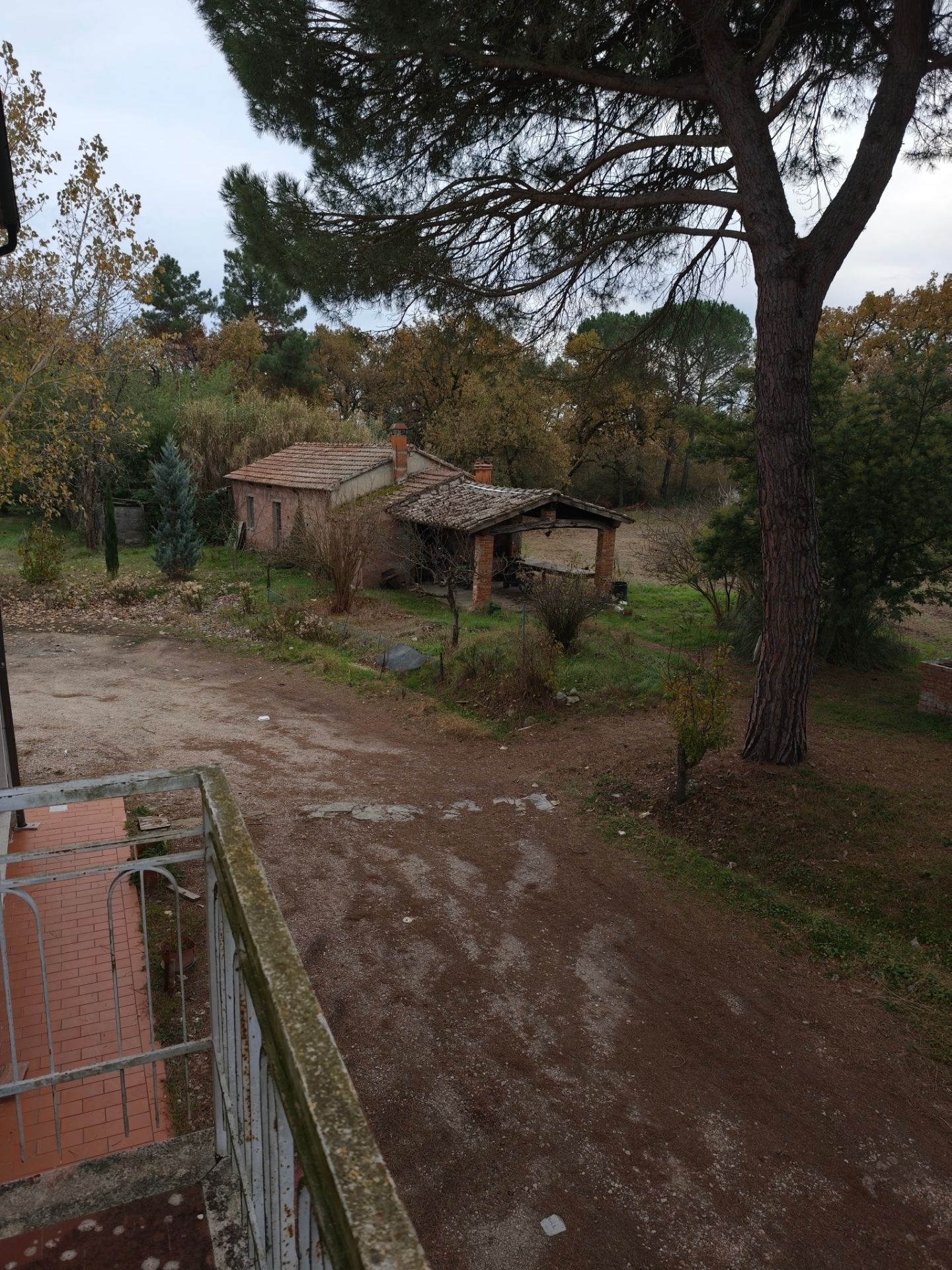 Vendita Rustico - Castiglione del lago, Via bertoni 58_2