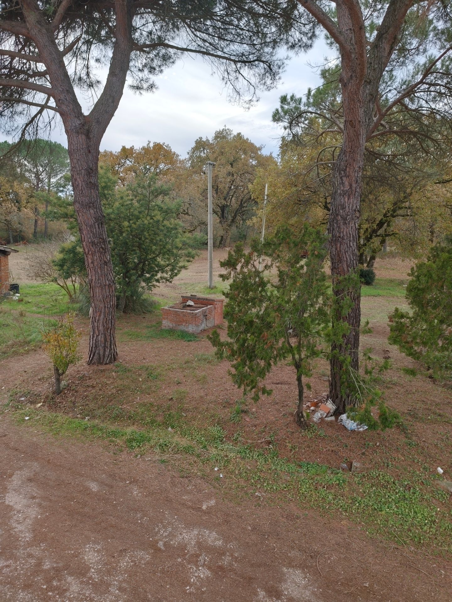 Vendita Rustico - Castiglione del lago, Via bertoni 58_3
