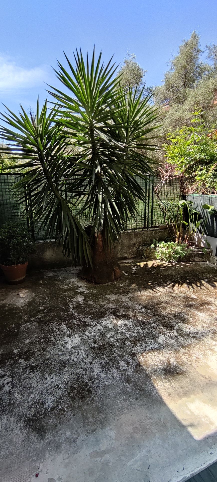 Vendita Appartamento - Chiavari, Viale devoto 117_3