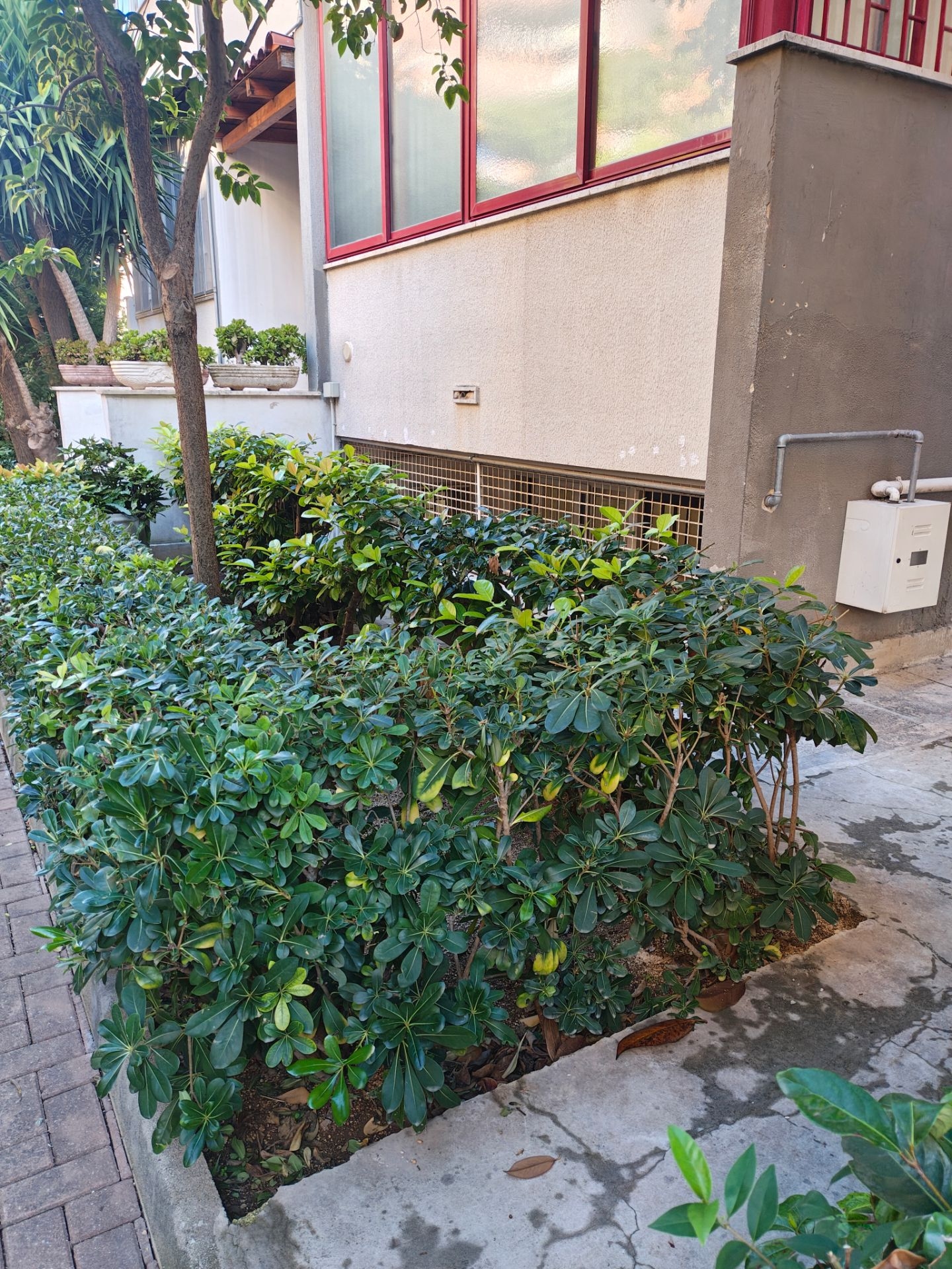 Affitto Casa a schiera €600 - Bari (San Pasquale alta), Viale luigi einaudi 27_3