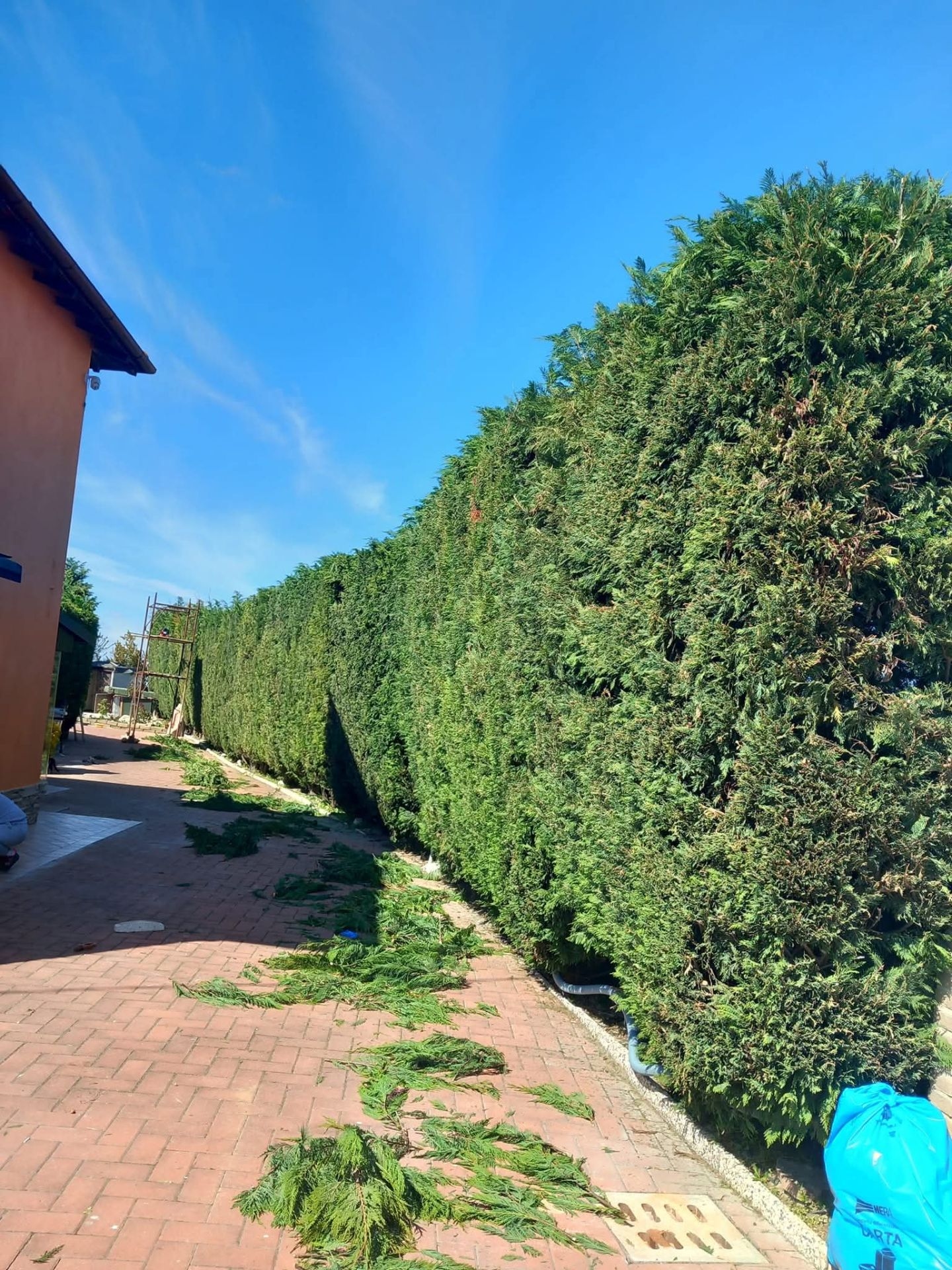Vendita Casa a schiera - Poggio renatico (Q), Via sanguettola 49_3