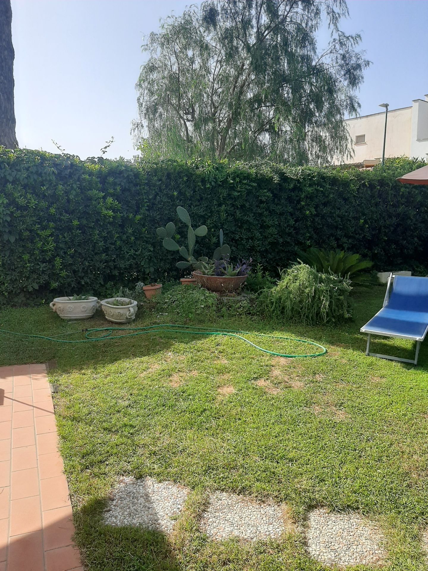 Affitto Appartamento €1200 - Montalto di castro (Montalto marina), Arno 26_3