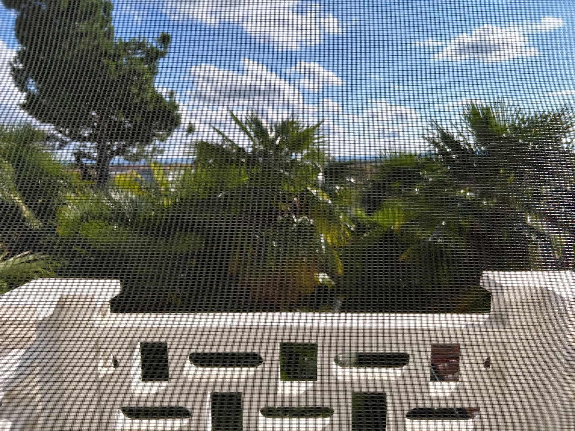 Affitto Appartamento €440 - Cigliano, Via guido bobba 15_2