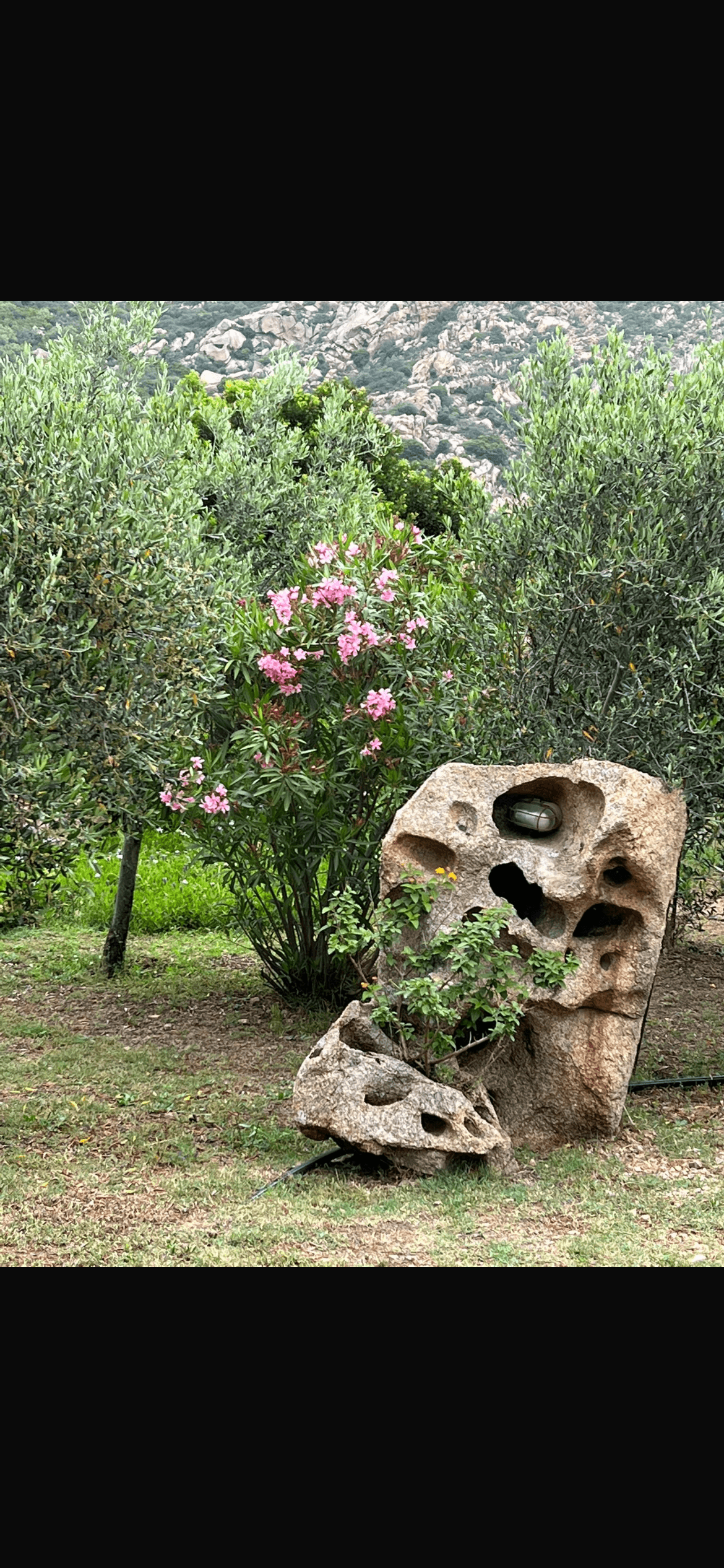 Affitto Appartamento €5000 - Olbia, Suiles Snc _2