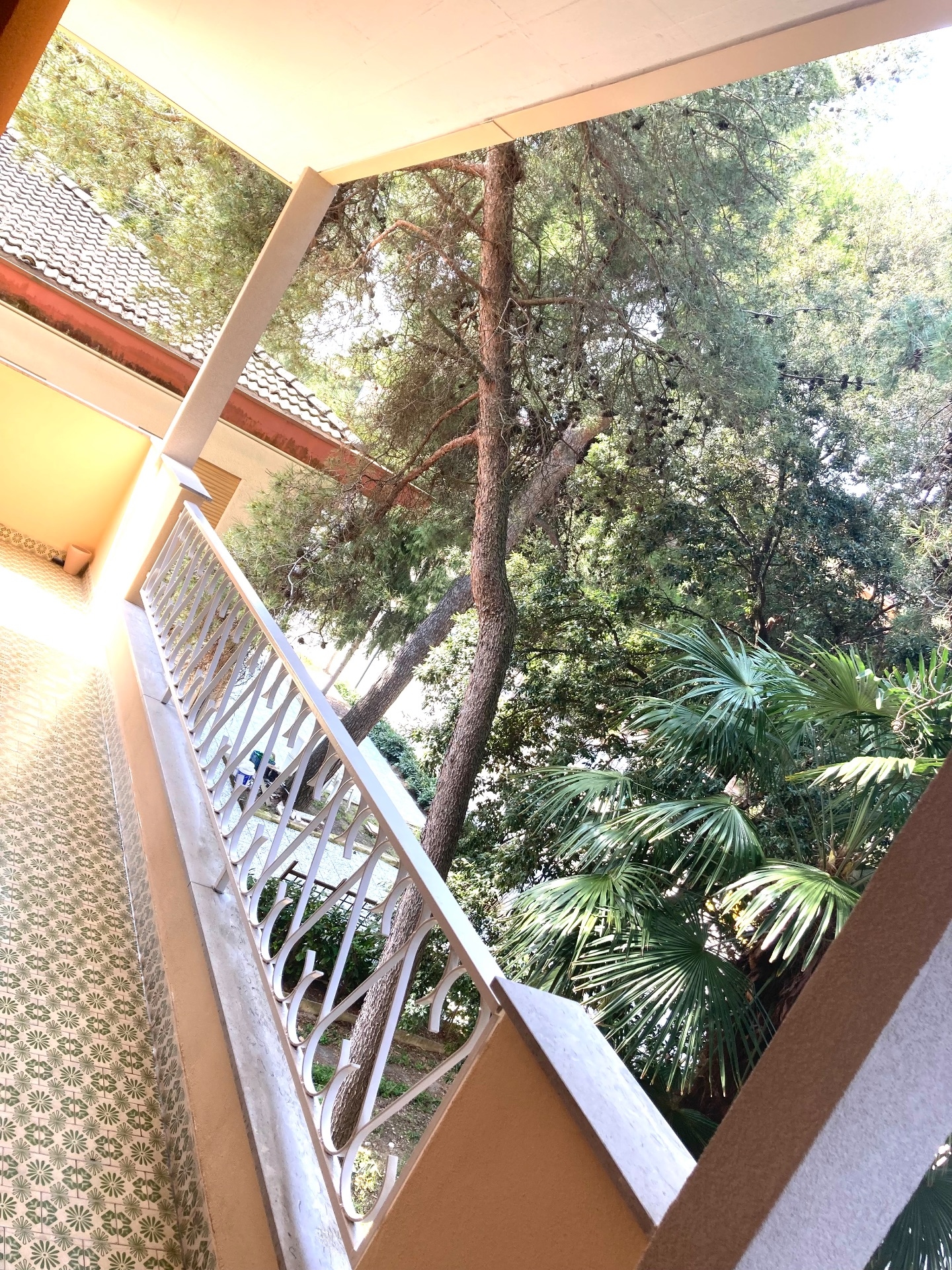 Rent Apartment €900 - Grado, Viale dell orsa maggiore 44_2