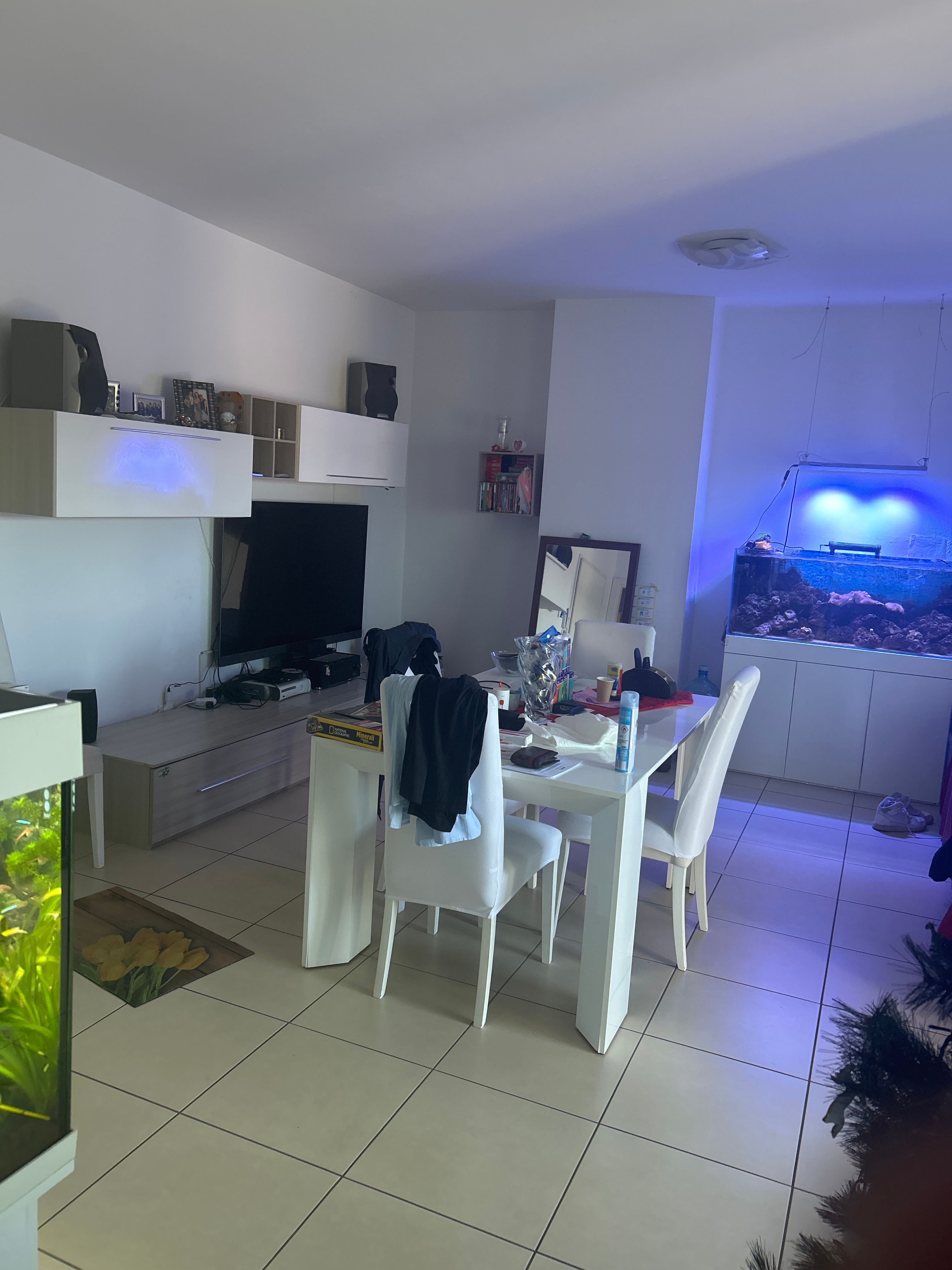 Affitto Posto in doppia €400 - Cremona, Via mons. enrico assi 31_2