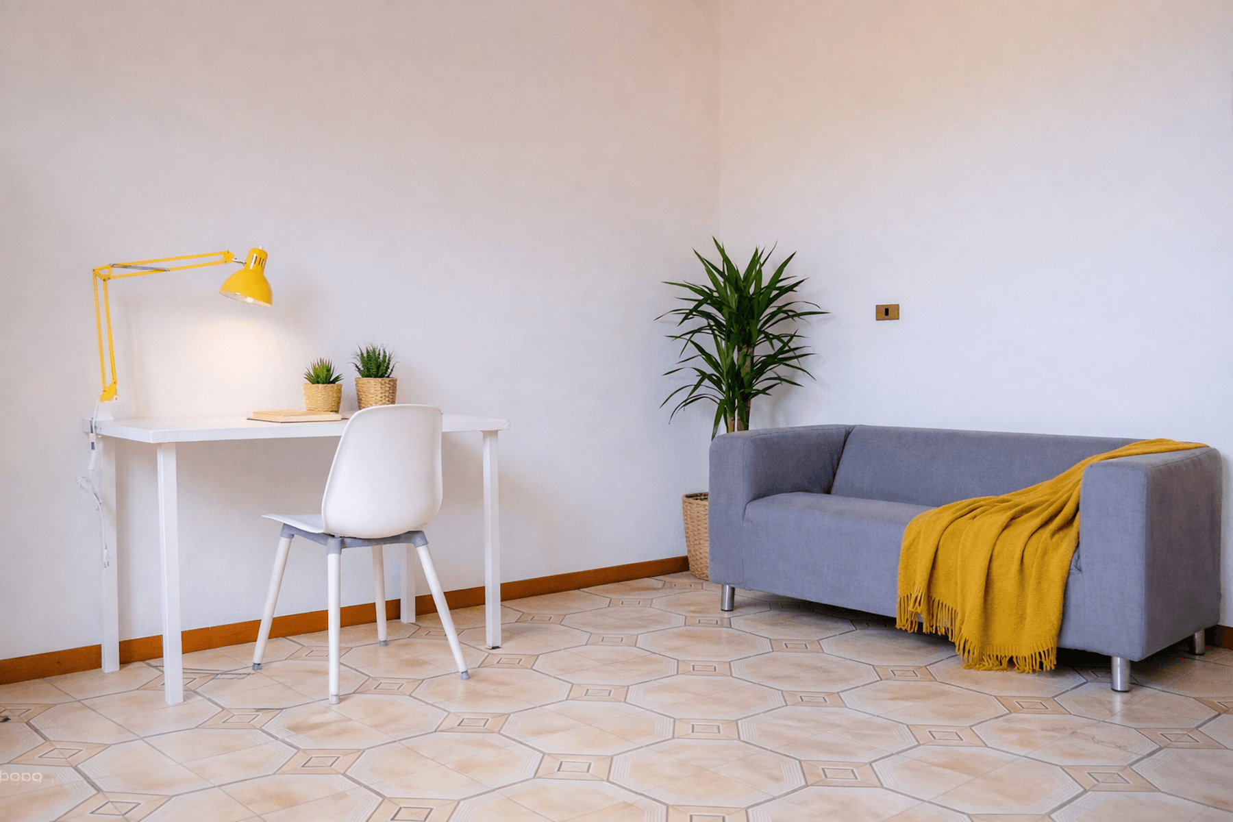 Affitto Stanza singola €415 - Pisa, Via palestro 25_3