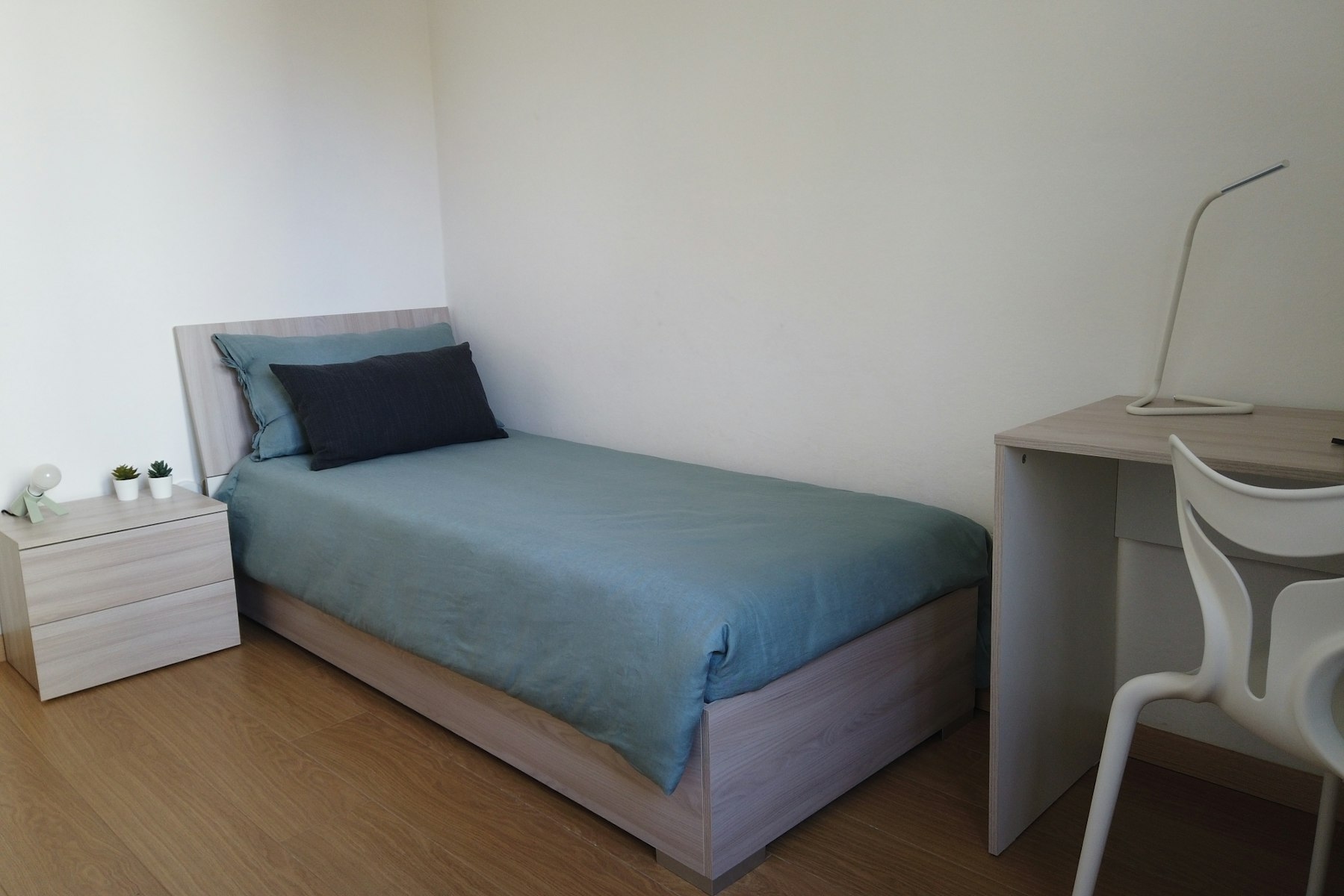 Graziosa Singola in Appartamento da Tre