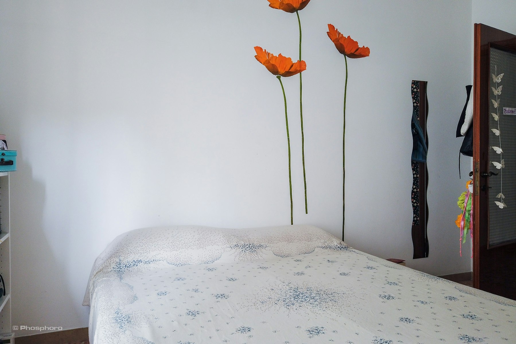 Spaziosa singola in appartamento speciale