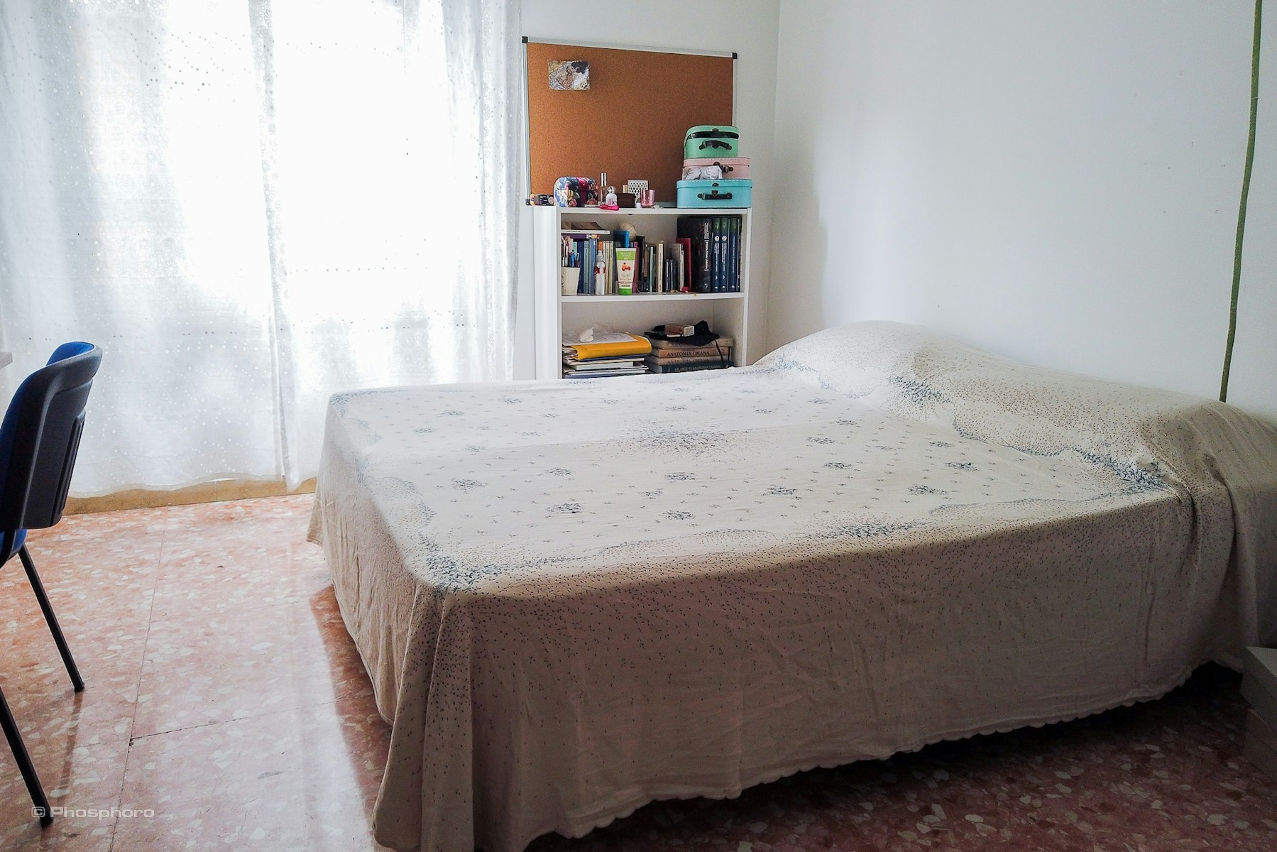 Affitto Stanza singola €335 - Verona, Via lungadige matteotti giacomo 13/G_3