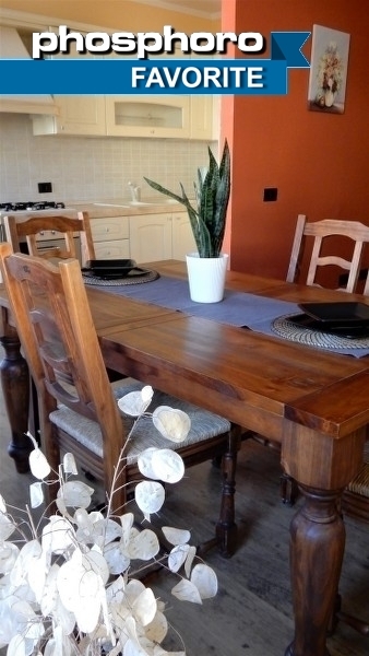 Affitto Appartamento - Trento_2