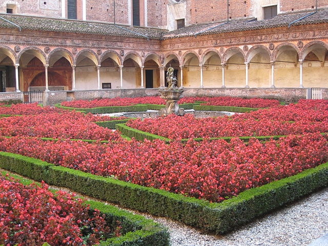 Pavia