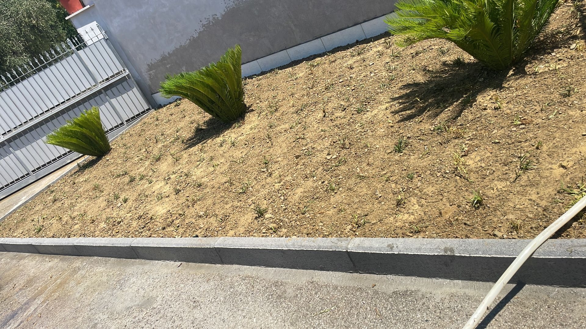 Casa indipendente con giardino a Castellabate
