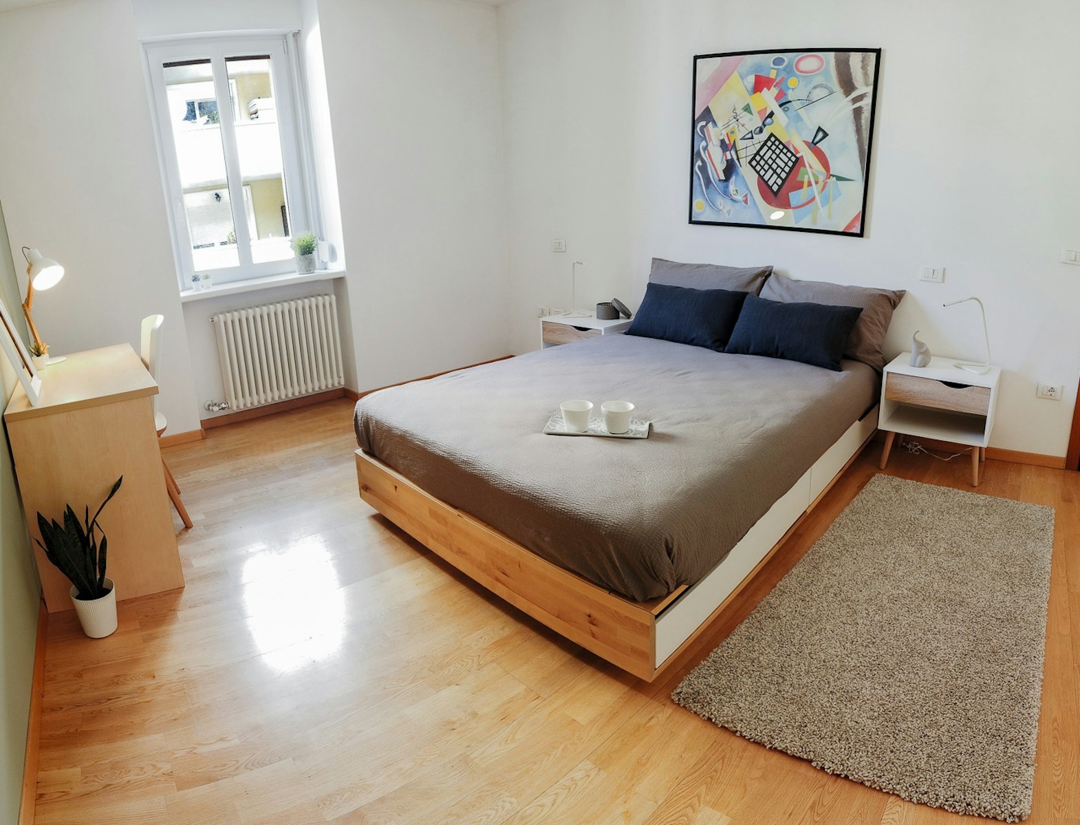 Spaziosa Singola con Letto Matrimoniale in Appartamento Carinissimo